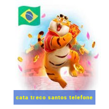 cata treco santos telefone